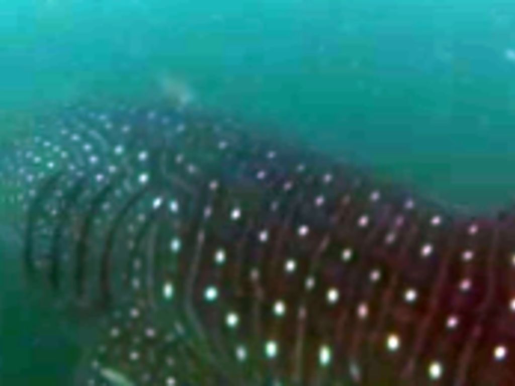 280cf3ab-e656-410e-a0c7-a7ce0ec3e6c5