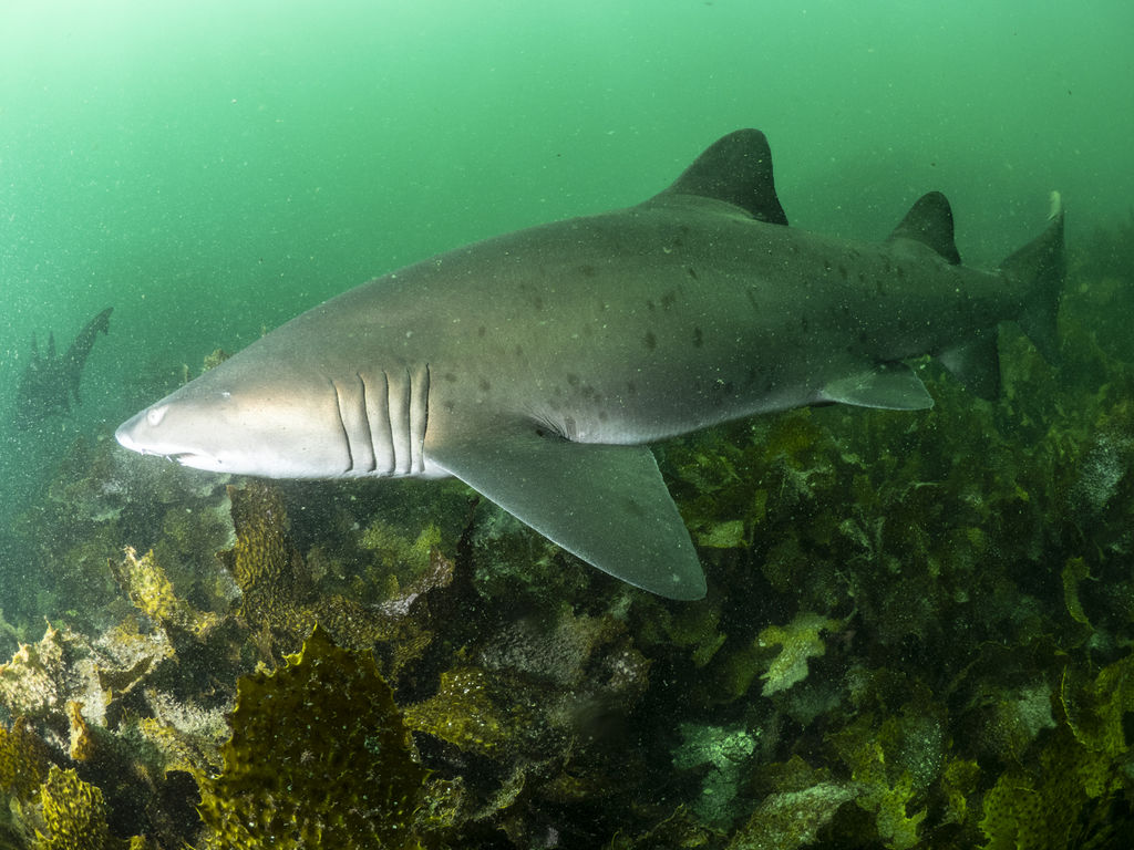 ab1ced0f-4fc9-477b-a74c-9643ea395837