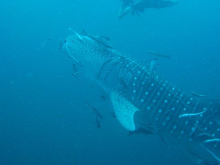 b311b736-e203-4f72-bf09-3f887287a4fa