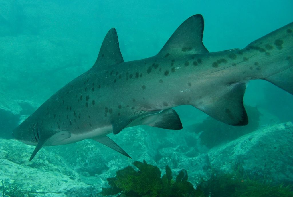 772e9d6f-422a-4278-95b7-93c15fad04e8