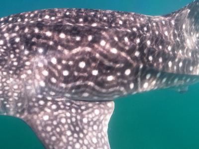 2b88998f-4bd8-4cca-ac0e-a1f5bd301f21