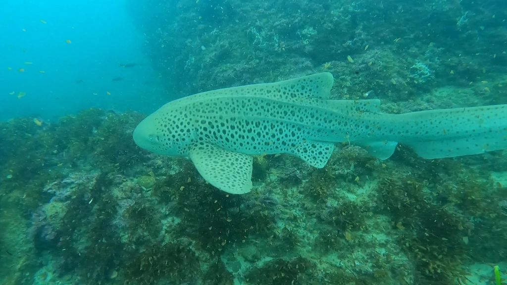 b517fc66-f816-4a68-bf31-bbf3ed0dbc39