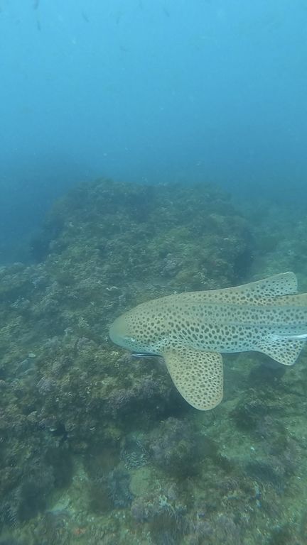 b517fc66-f816-4a68-bf31-bbf3ed0dbc39