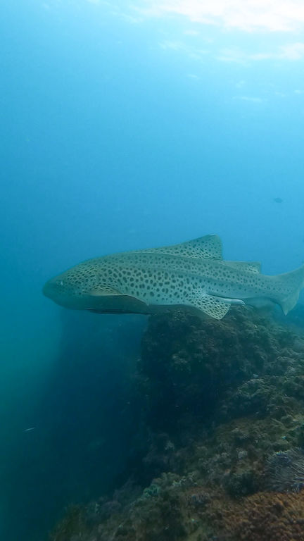 b517fc66-f816-4a68-bf31-bbf3ed0dbc39