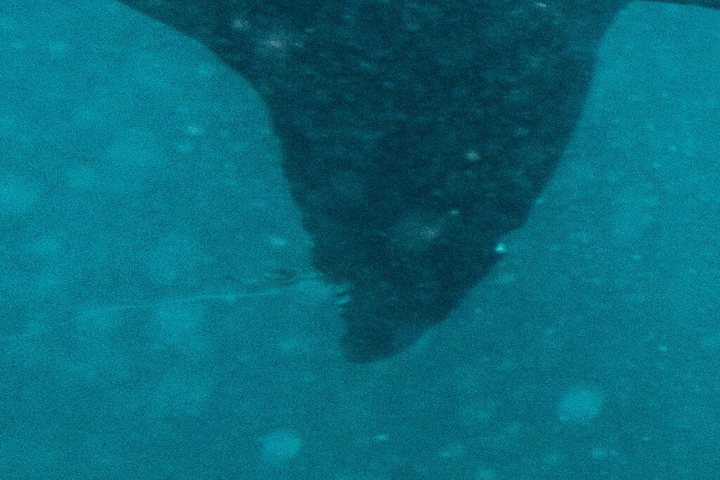 61017ffa-ff1b-4437-b5ee-d9000c088bc6