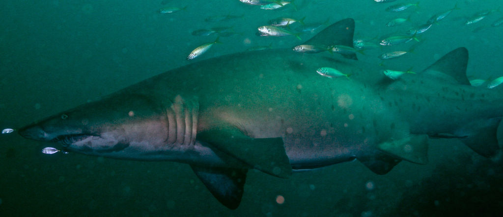 80b05c19-441f-4d1d-a7f3-204b160a0e8b