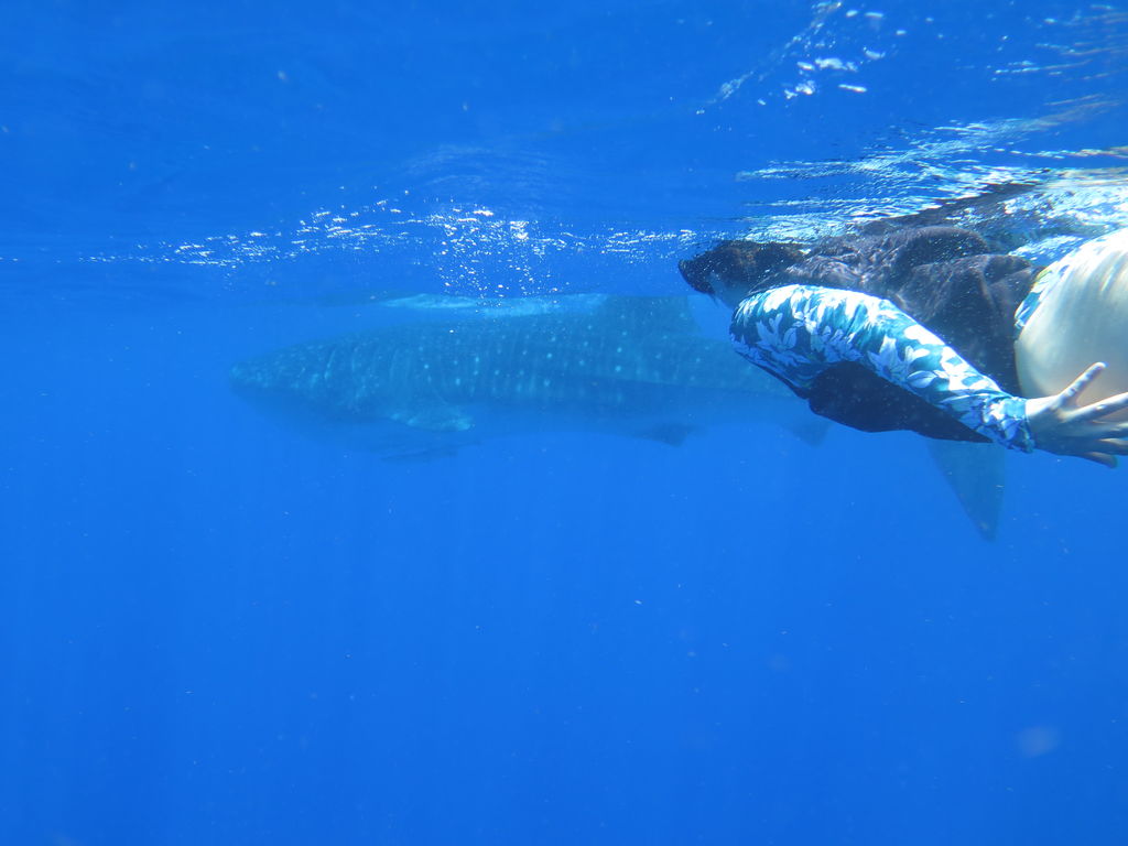 b8a4ddf7-a418-45b7-8fca-d8ed000890fb