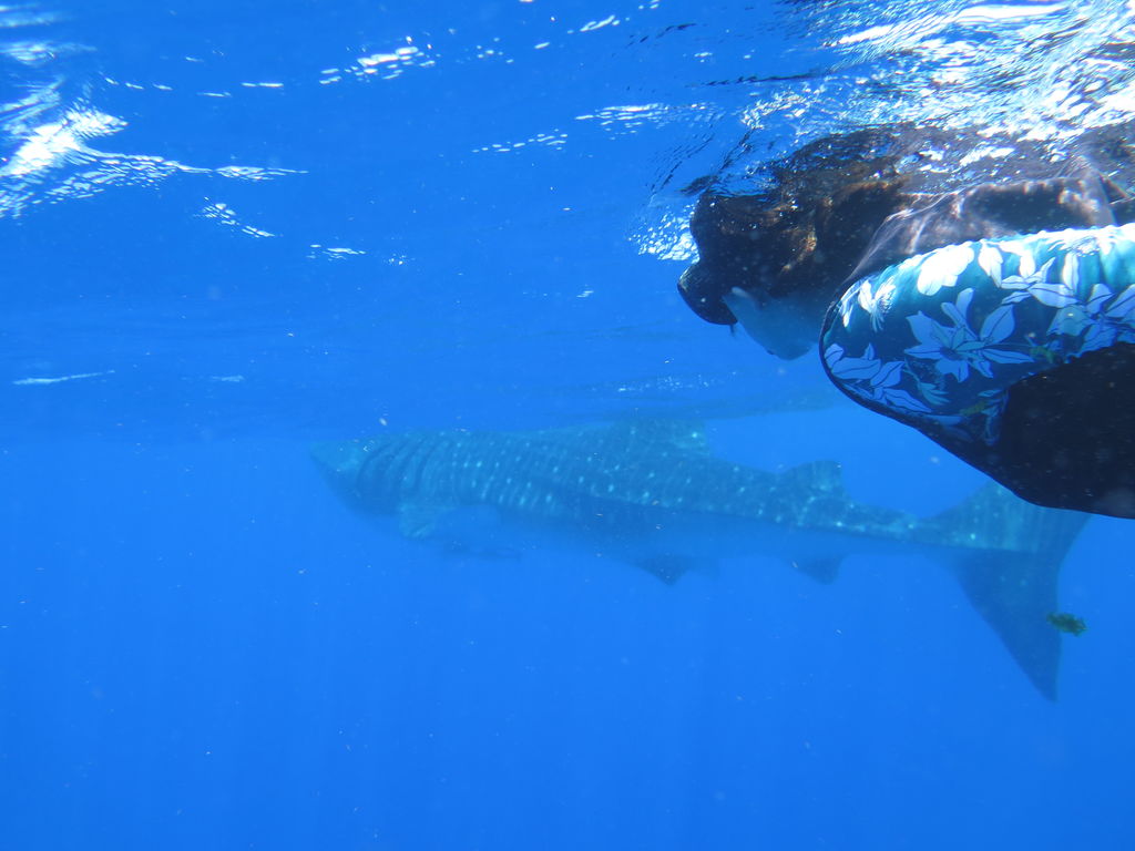 b8a4ddf7-a418-45b7-8fca-d8ed000890fb