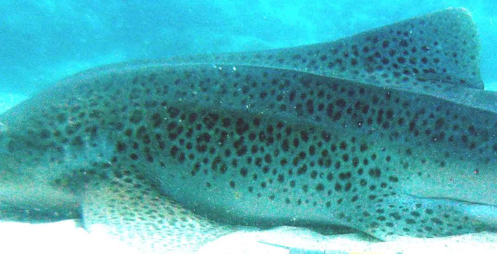 80eaead2-b8c2-4adc-8ddc-c0e128337757