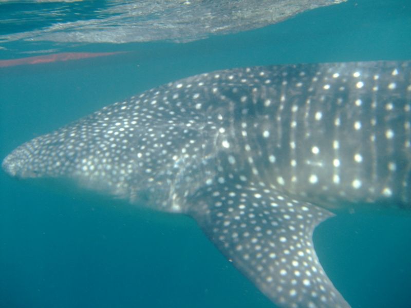 96b13772-1579-4e4d-8664-162a7ab26c52