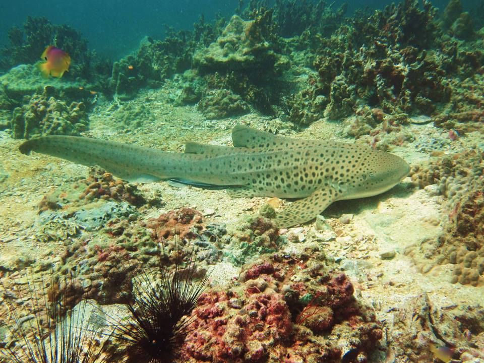 fe4aeac2-89ae-458a-9e30-052c4a5a808c