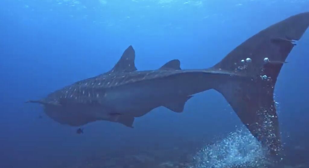 e0a53120-8634-4bdb-ac68-2453a670d52c