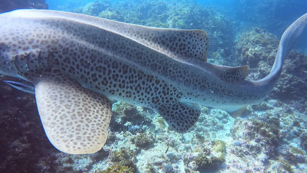 be9c2204-d4f9-41e0-a0d7-b3f62d560667