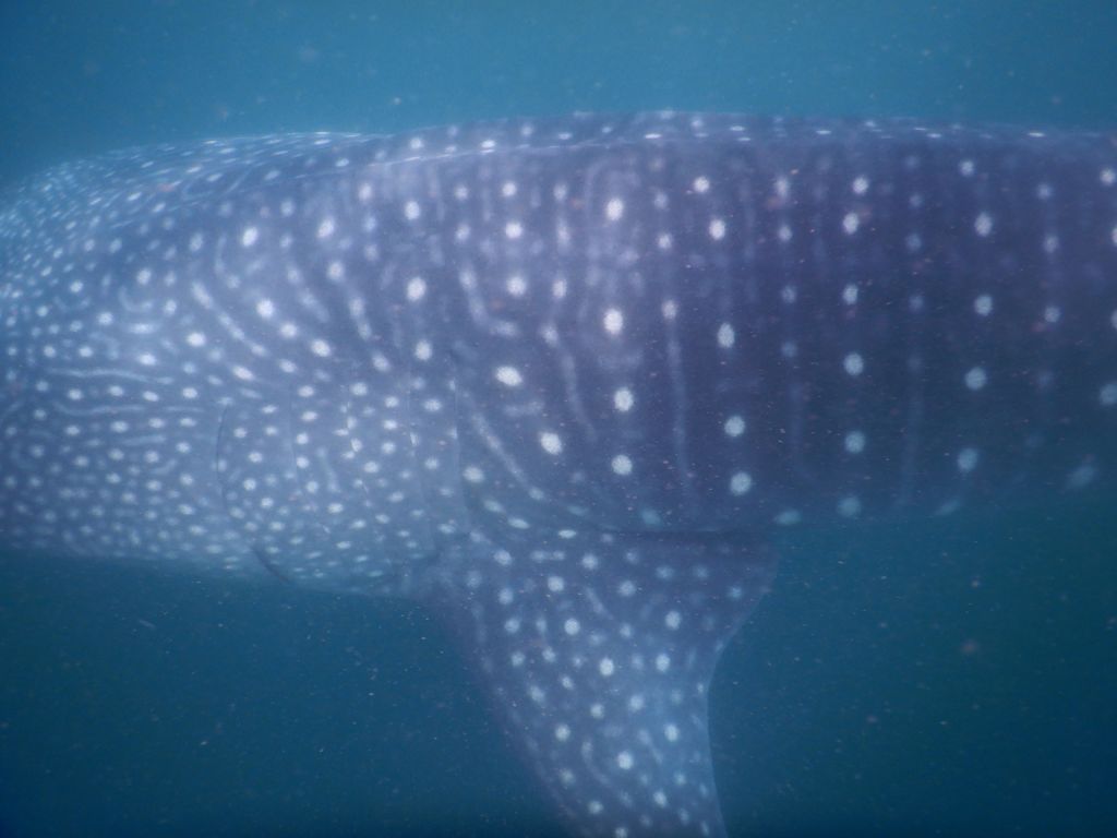 df78bd44-7015-4cf1-93d1-5fa49fceeb0d