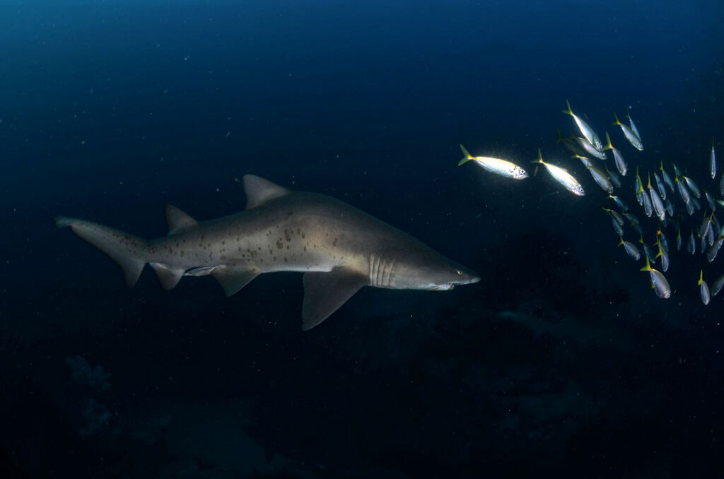 d8d5cde1-3862-4f6d-a65d-5f73d8de1edd