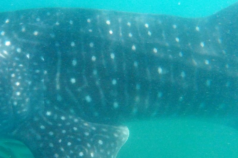 c7f7db3c-38ef-4f4d-965f-0dfcde4380e8