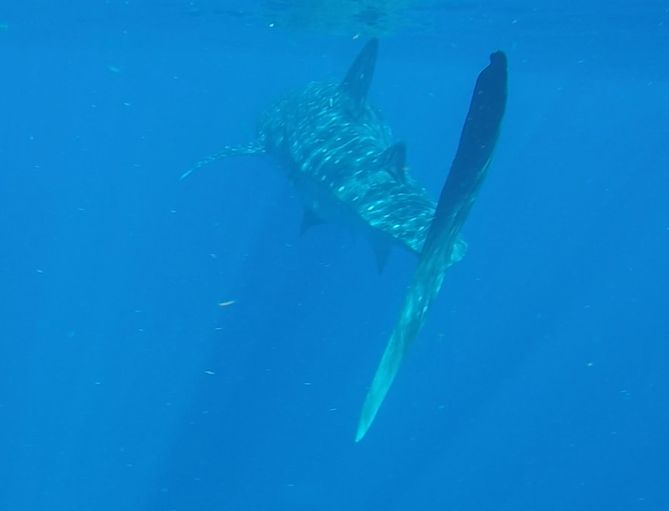 18f8ce7e-cdc1-448a-ac4e-38ecc90441c2