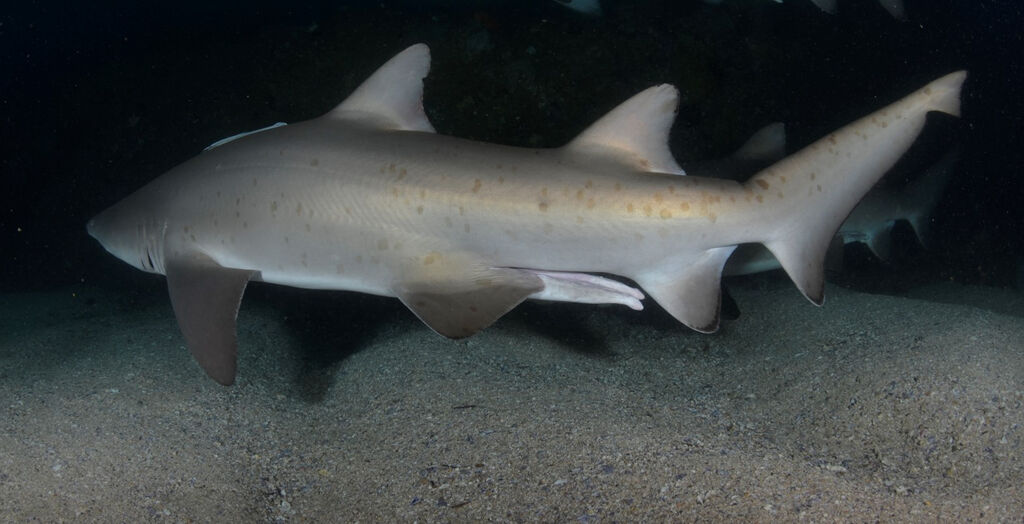 d40a2f61-69ad-43d9-a822-aeb20a2b95d5