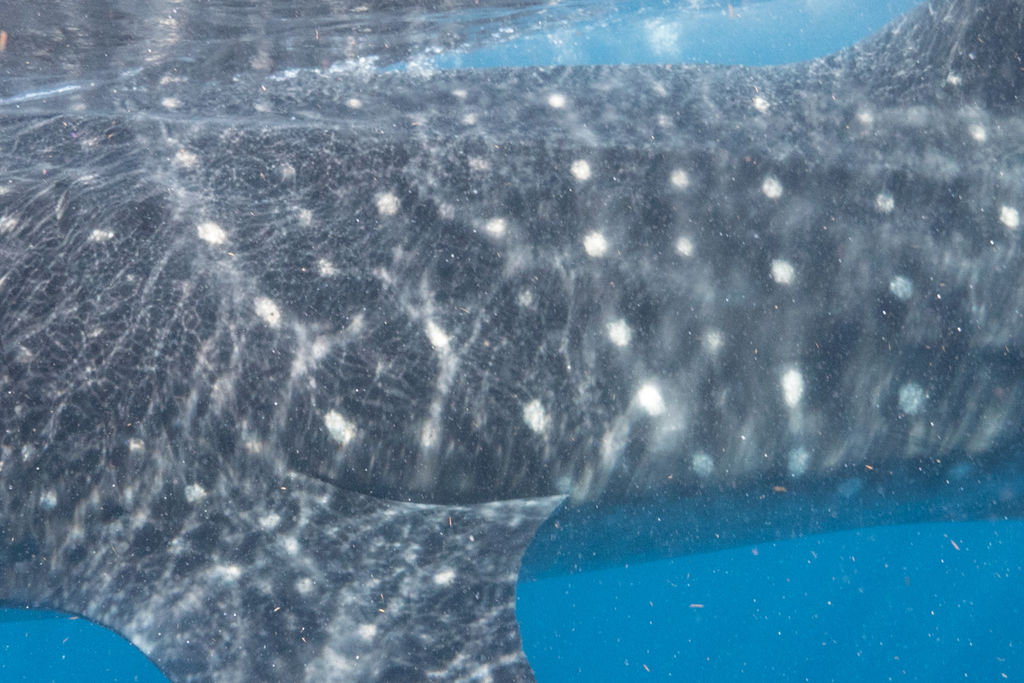 076c548f-14ff-4bc1-860f-74215572915f