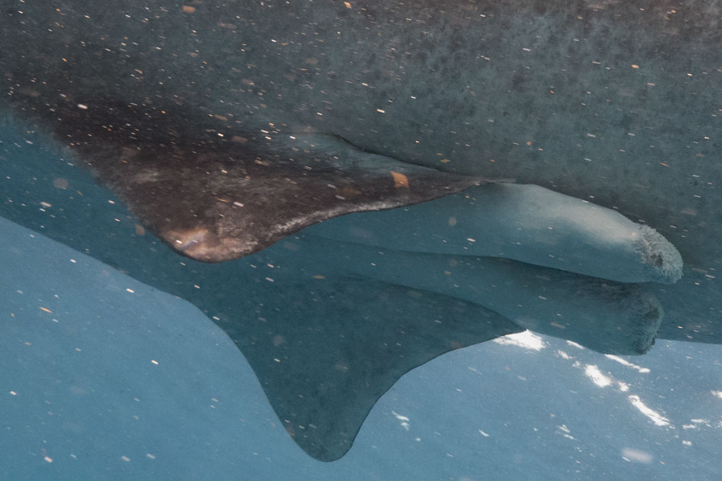 076c548f-14ff-4bc1-860f-74215572915f