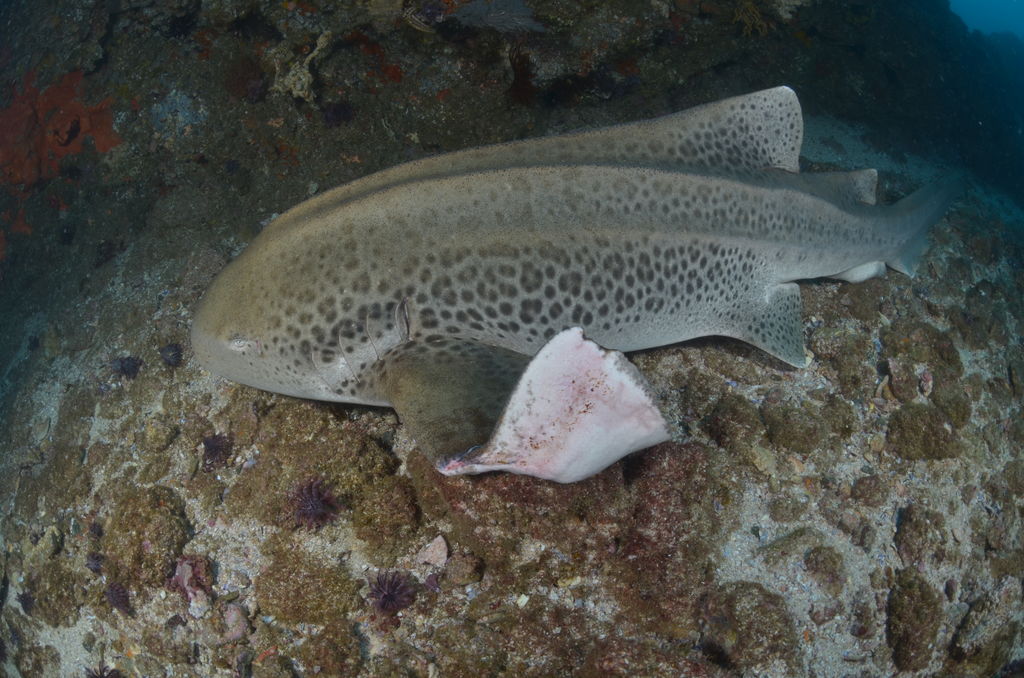 d81d38b5-1571-4844-a8f6-b479c6058481