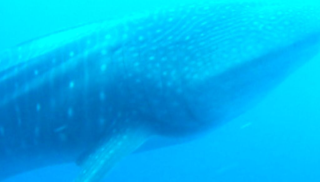 fd59e81e-9421-44c7-b61d-35a5f5e1bf91