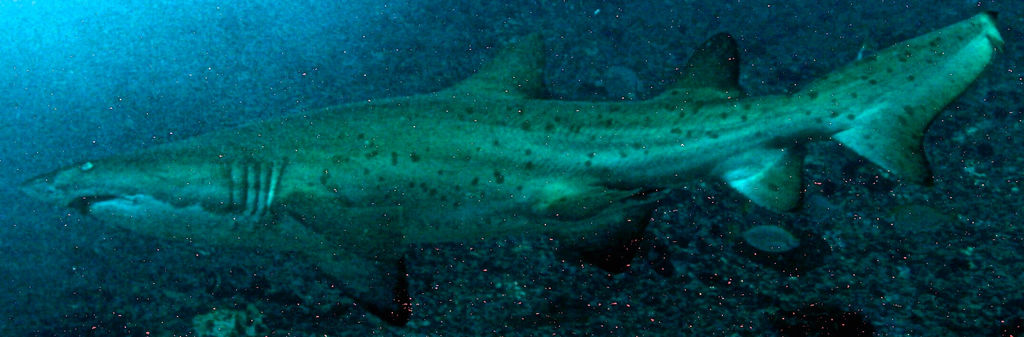 3b9375fd-3236-400b-8564-d051557998ae