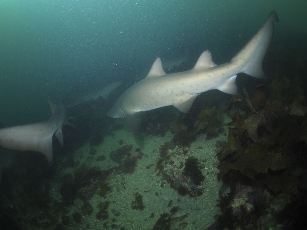 c6517d8b-d40f-43f5-9e12-4acad39fd069