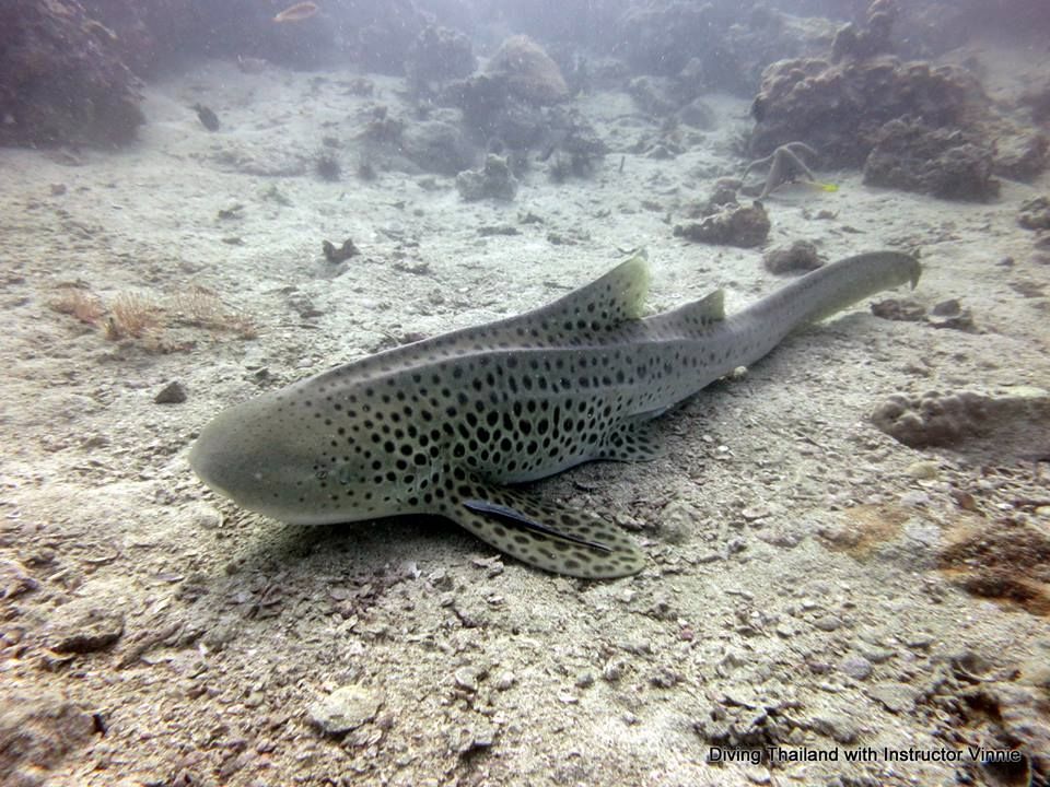 d420d647-3aba-44bd-942b-4ef8d9e335d5