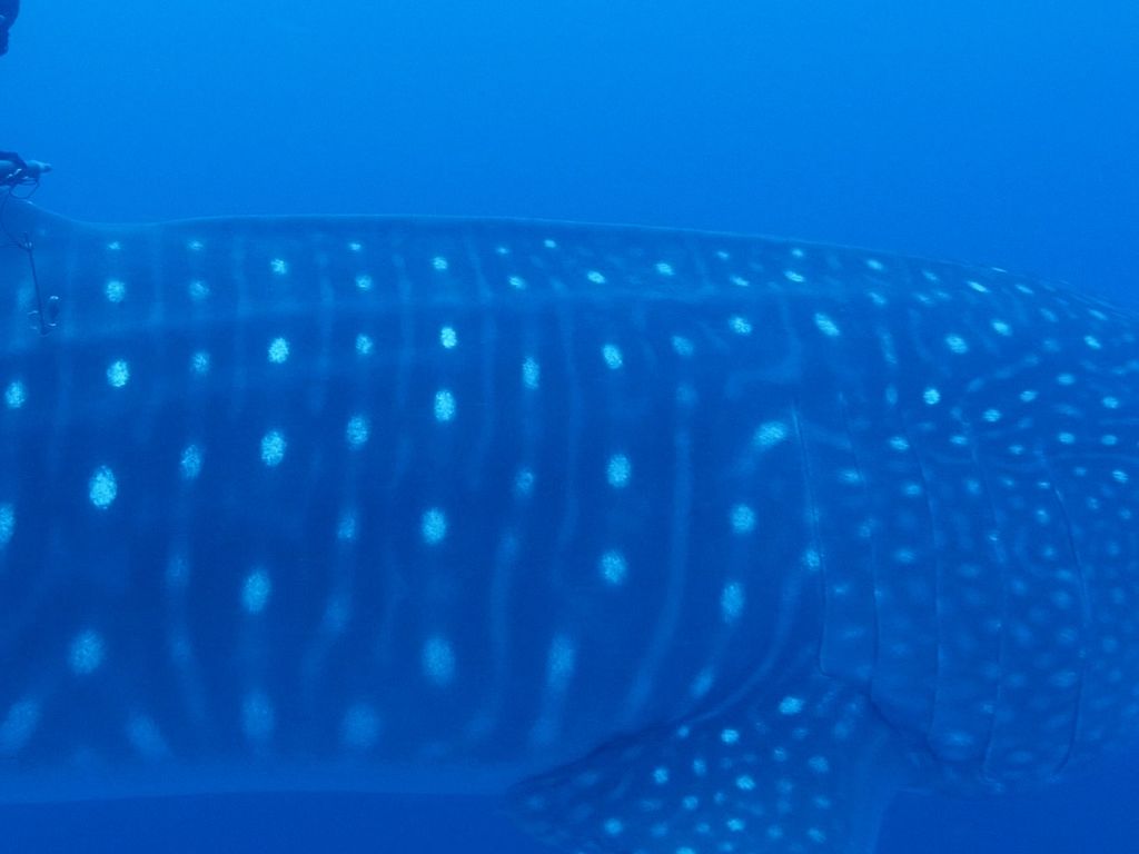 0fef457e-b94b-4836-8d0d-a5ddd59507ec