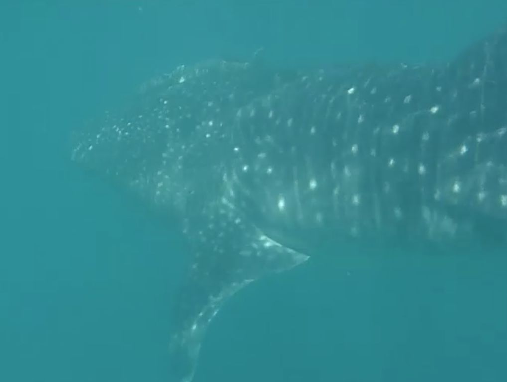 d9e7cbf5-65dc-4be7-8327-492894f310c0