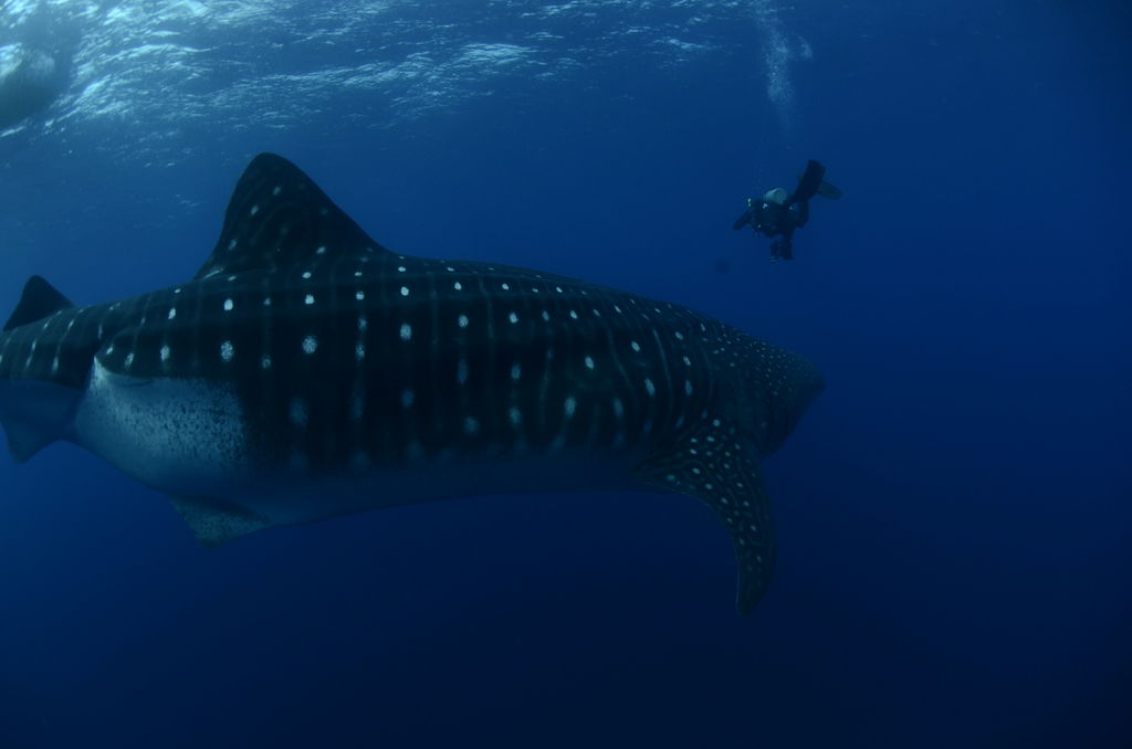 a85e9464-03df-4015-af43-6bd212d9655b