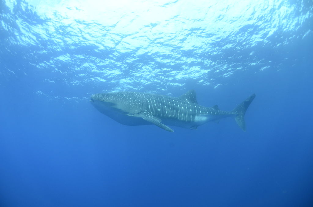 a85e9464-03df-4015-af43-6bd212d9655b