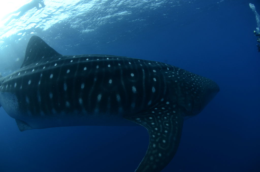 a85e9464-03df-4015-af43-6bd212d9655b