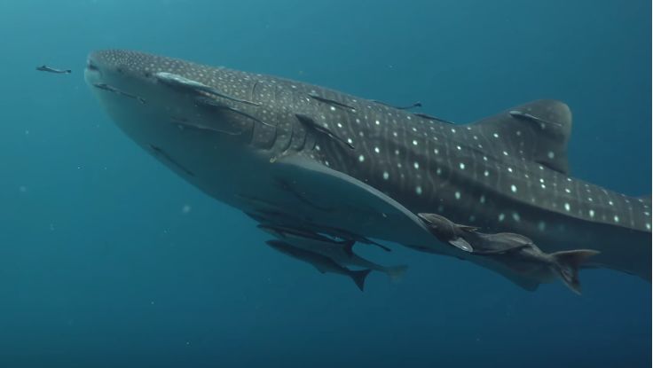 3ba8db83-f6fb-47fc-a6d4-1bc6f86d8811