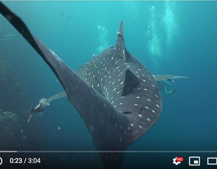 3ba8db83-f6fb-47fc-a6d4-1bc6f86d8811