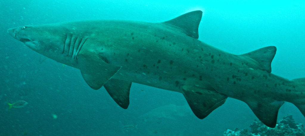 2a2c8299-fe16-47e2-a55e-60361489eee4