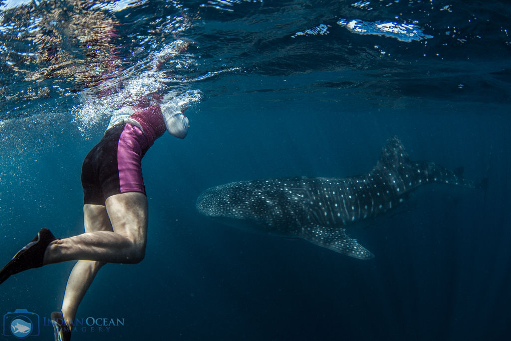 3ceb5445-daab-41ec-9bb5-75eafdec8e23