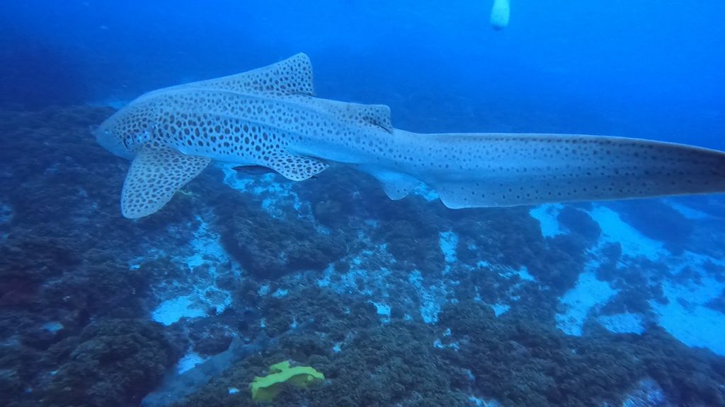 0f1ed1e1-8574-474c-8ee8-1ee029c15368