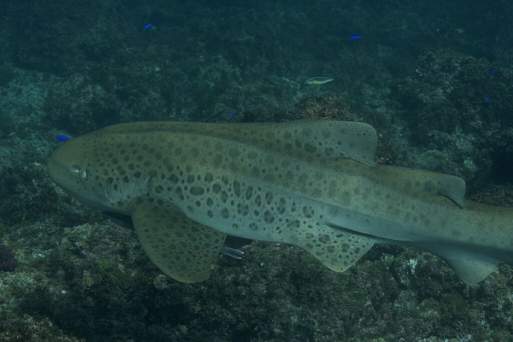 cb28911e-836e-462f-b93b-7e2be9a7cb1a