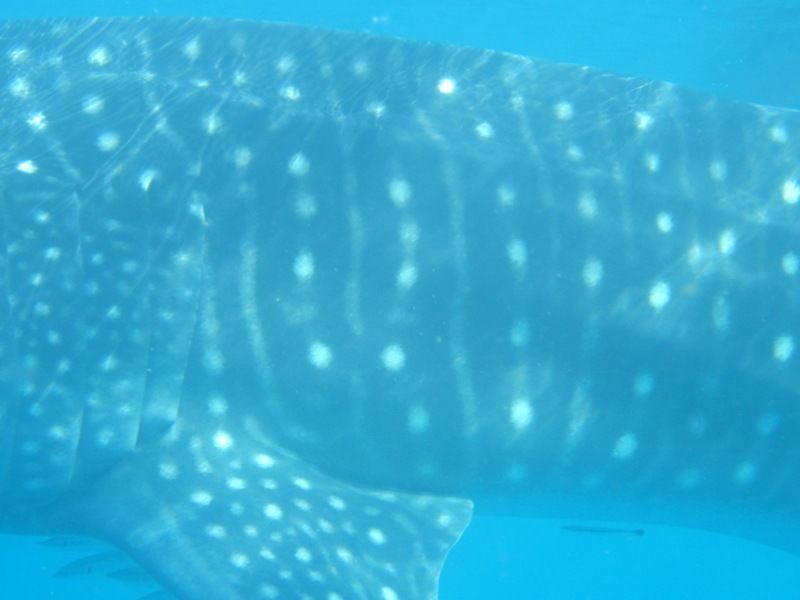 0f8b765c-aeb2-4f32-b3fe-62a639f6bf31