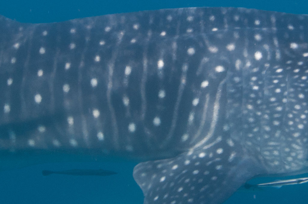 0f8b765c-aeb2-4f32-b3fe-62a639f6bf31