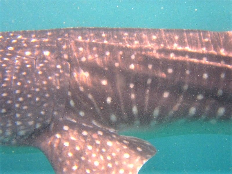 b9a14e6d-900f-40f8-adf3-a8a7e47c8cb5