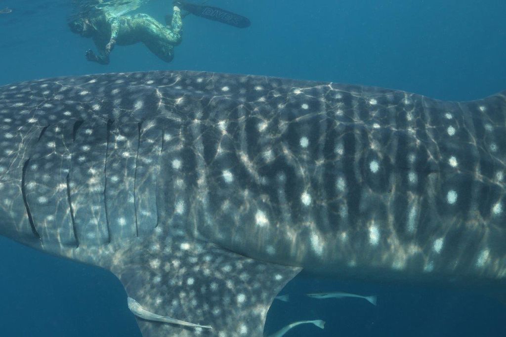 ec9ad373-cc5d-43d9-9726-360f46b8efbc