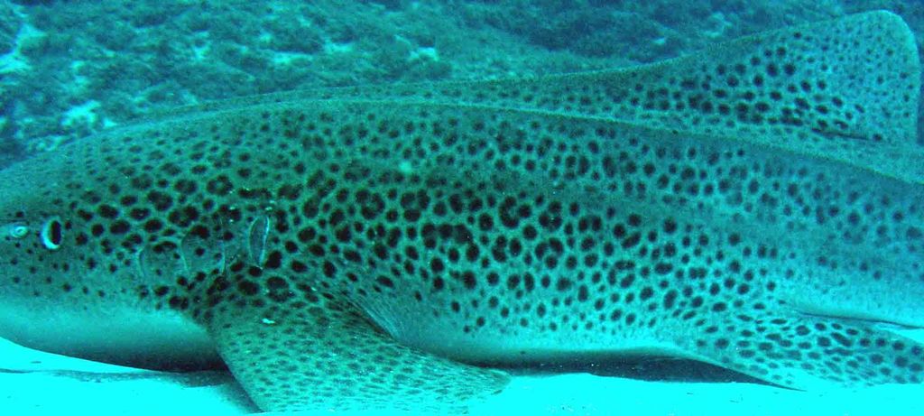 4a798a21-26df-4611-a0ca-dffd1e628e02