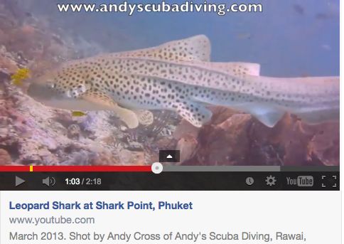 52a0381f-5a25-41f0-97e1-a029631281b7