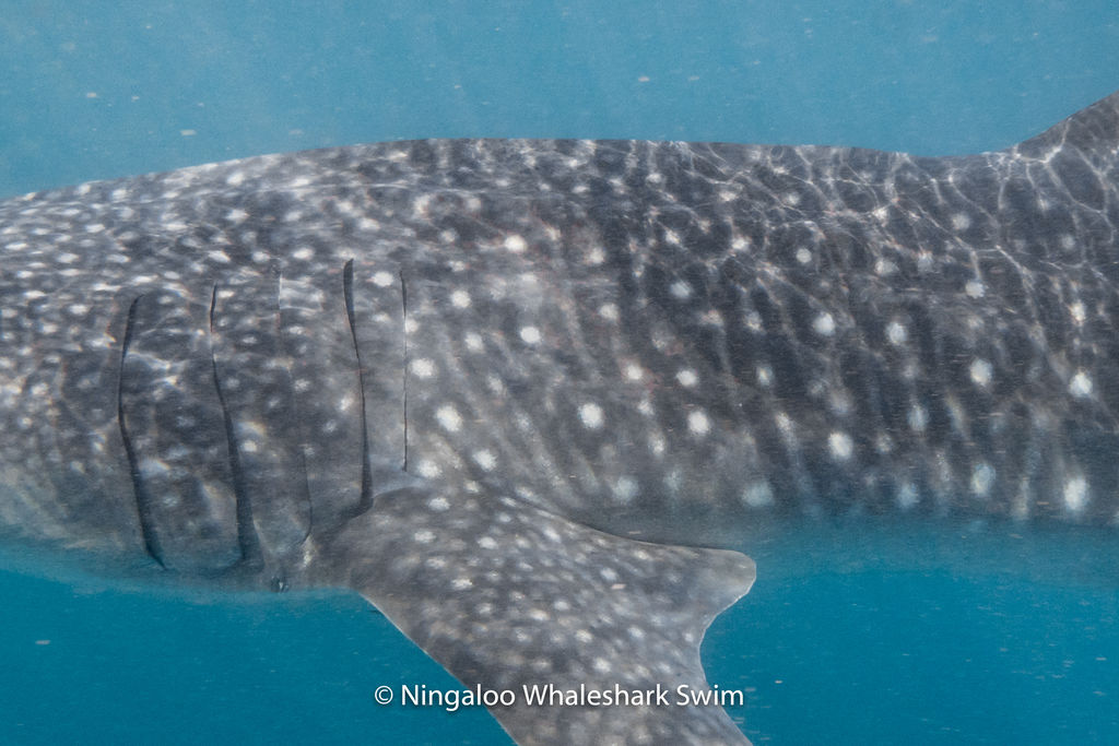 53799ce4-0710-4170-9373-29b72d3834ab