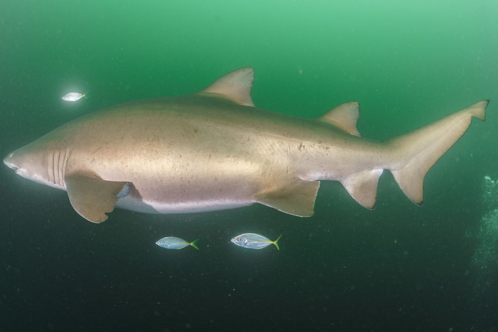 c04de693-4375-4106-b4a1-8c18853cb19e