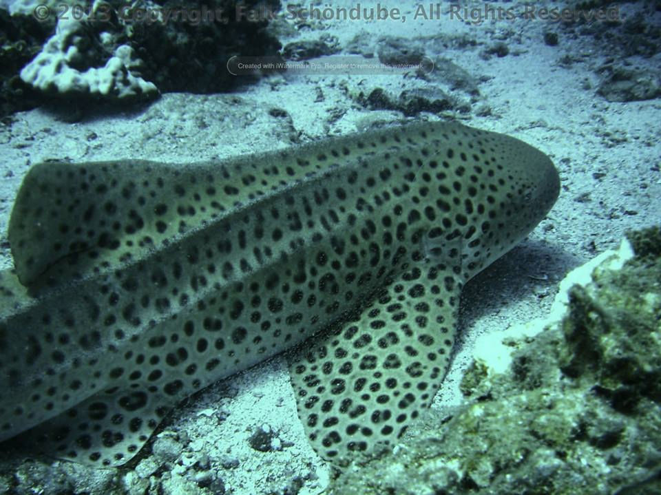 ac1a04c1-b5f9-450a-b488-94bd6f89b233