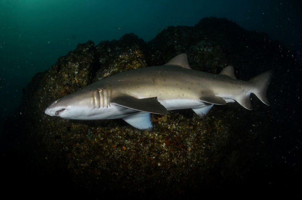 1e640785-6ce6-4ea2-837c-7dc87ed9f21e